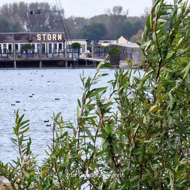 Advies ANWB: ‘Werk donderdag 2 november thuis in verband met storm’