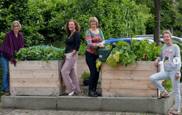Nieuwe moestuinen in Prins Alexander