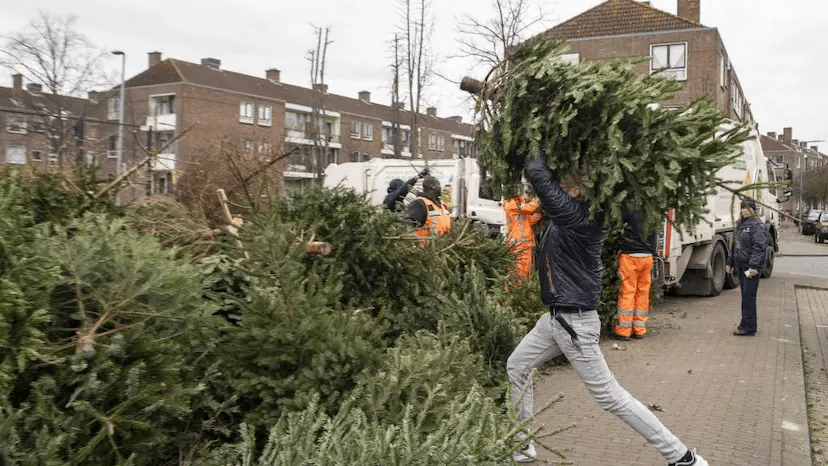 Hier kunt u uw kerstboom inleveren!