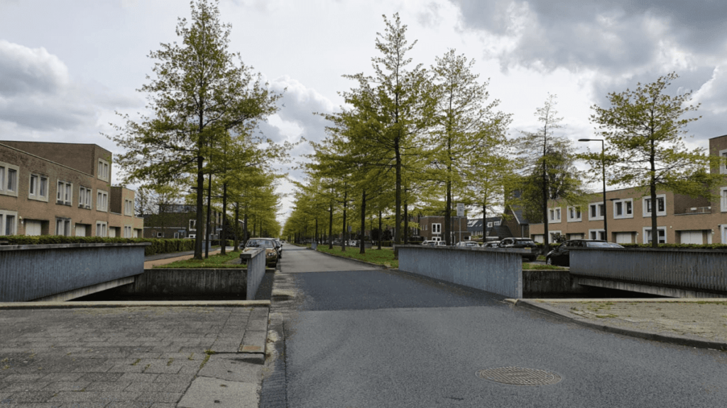 Leefbaar Rotterdam presenteert niet; VVD en D66 nemen wel maatregelen tegen verkeersaso’s
