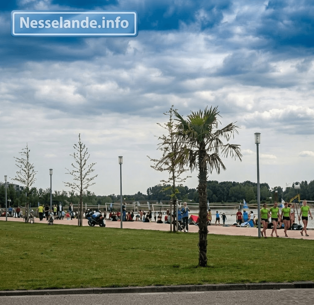 Nesselande.INFO (ooit als nieuws-site begonnen onder de namen Nesselande.NET en Rotterdam-Nesselande.nl) bestaat inmiddels 23 jaar. In 2003 startte onze vrijwillige redactie “low profile” met het platform als aanvulling op de communicatie vanuit de gemeente richting de wijk. Toen verschillende gemeentelijke communicatiekanalen wegvielen, zijn wij in 2005 samengegaan met enkele lokale nieuwsinitiatieven. Samen groeiden we uit tot een groot nieuwsplatform dat dagelijks verslag doet van alles wat er in de wijk gebeurt, met hulp van betrokken bewoners en ondernemers.