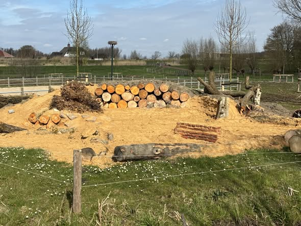 Op Kinderboerderij De Blijde Wei is een bijenburcht aangelegd: een plek waar wilde bijen kunnen nestelen. Goed voor de natuur én leuk om te bekijken.