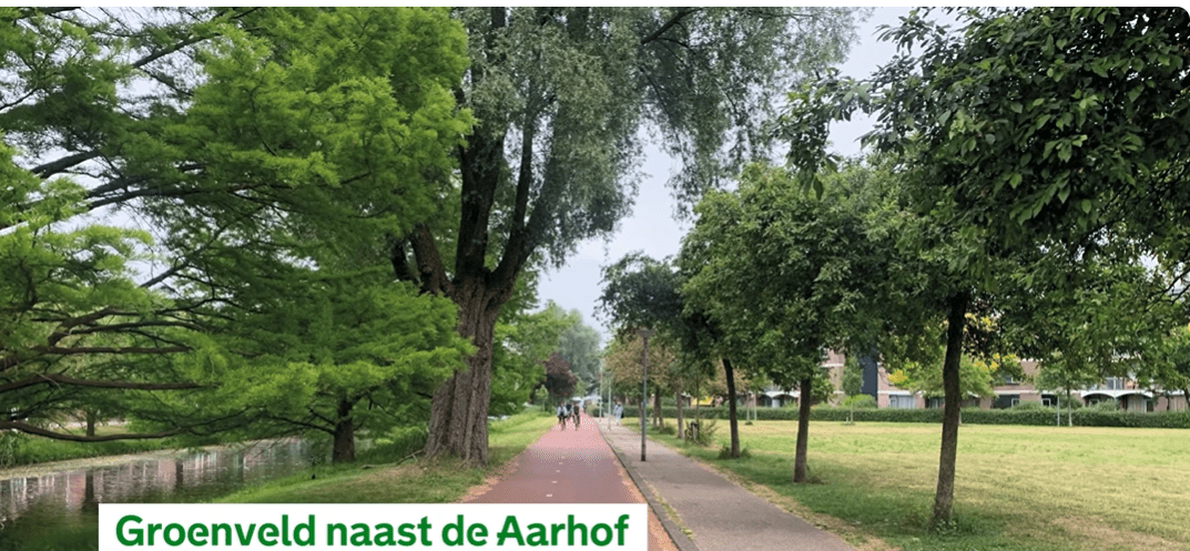 De gemeente Rotterdam werkt samen met Wooncompas en Sustay aan plannen voor de Imkerstraat en de Aarhof. Om de plannen voor iedereen duidelijk en begrijpelijk te maken, hebben we een korte animatievideo gemaakt. In deze animatie ziet u: waarom deze plek verandert wat bewoners eerder hebben aangegeven en hoe de belangrijkste ideeën voor de toekomst eruitzien De animatie laat zien hoe de ambities uit het projectambitiedocument kunnen doorwerken in de buurt. Daarmee vormt de video een brug naar de Nota van Uitgangspunten. De animatie is geen definitief plan, maar laat zien welke richting we samen op kunnen gaan.